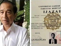 Jokowi Siap Hadir ke Sidang dan Tunjukkan Seluruh Ijazah Asli dari SD hingga PT