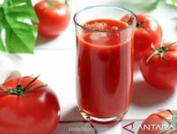 Kemarin, manfaat tomat hingga penjualan BYD melonjak imbas harga BBM