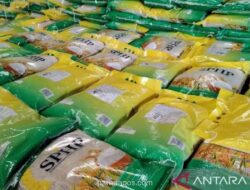 Kementan Optimistis Stok Beras Aman Hadapi Ancaman Kekeringan Akibat El Nino