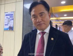 Kontroversi Film ‘Pesta Babi’ Melebar, Yusril Minta Pembuat Film Jelaskan Makna Judul