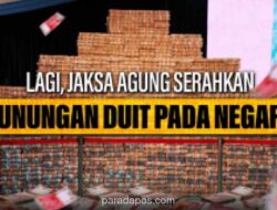 Pemerintah Kembalikan Rp10,2 Triliun ke Kas Negara, Hasil Penertiban Kawasan Hutan Akan Digunakan untuk Renovasi Puskesmas