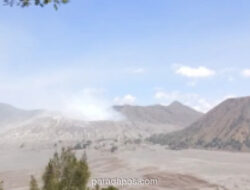 Lebih dari 6.000 Wisatawan Padati Gunung Bromo Selama Libur Iduladha, Didominasi Turis Domestik