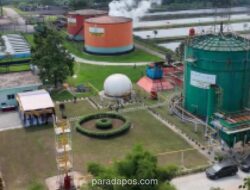 BRIN dan PTPN IV PalmCo Kaji Pengembangan Bio-CBG dari Limbah Sawit untuk Substitusi LPG Impor