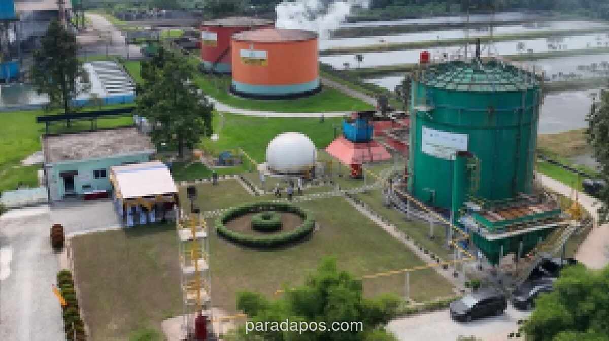BRIN dan PTPN IV PalmCo Kaji Pengembangan Bio-CBG dari Limbah Sawit untuk Substitusi LPG Impor