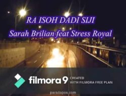 Lirik Lagu Raiso Dadi Siji - Sarah Brilian X Stress Royal