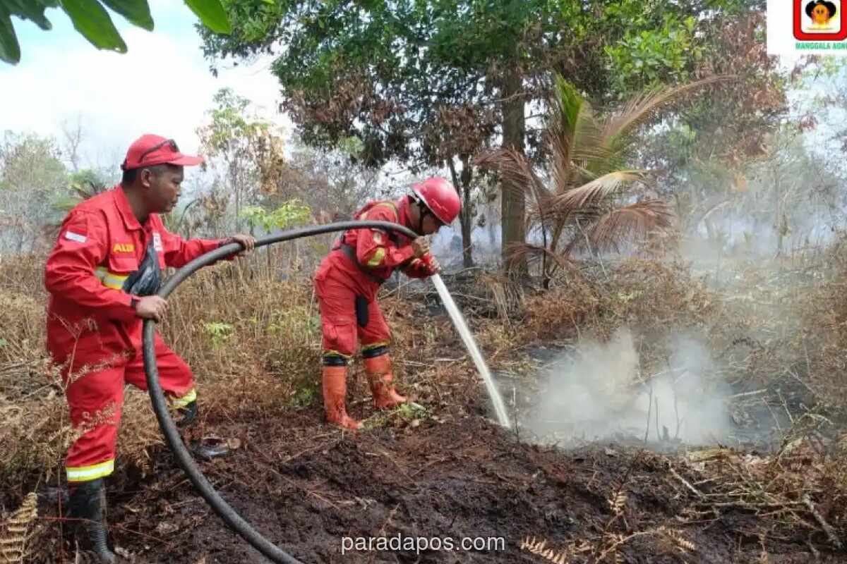 Kebakaran Hutan di Pelalawan Riau Meluas, Tim Gabungan Kerahkan Helikopter Water Bombing