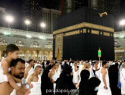 Arab Saudi Luncurkan Layanan Digital untuk Seleksi dan Kontrak Umrah Musim 1448 H