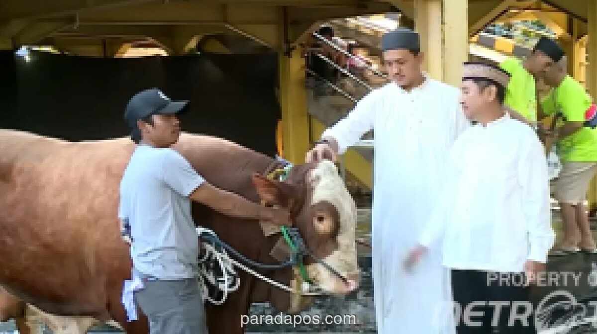 Media Group Salurkan 2.500 Paket Daging Kurban dari 13 Sapi dan 7 Kambing di Iduladha 1447 H