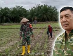 Menteri Pertahanan Tugaskan TNI AD Tanam Padi dan Jagung, TNI AL Produksi Kedelai demi Swasembada Pangan