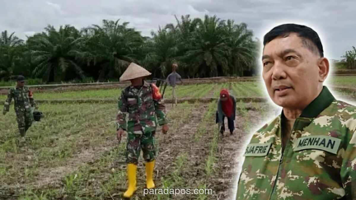 Menteri Pertahanan Tugaskan TNI AD Tanam Padi dan Jagung, TNI AL Produksi Kedelai demi Swasembada Pangan