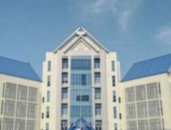 Oknum Wakil Dekan UIN STS Jambi Dinonaktifkan Usai Digerebek Istri di Kos