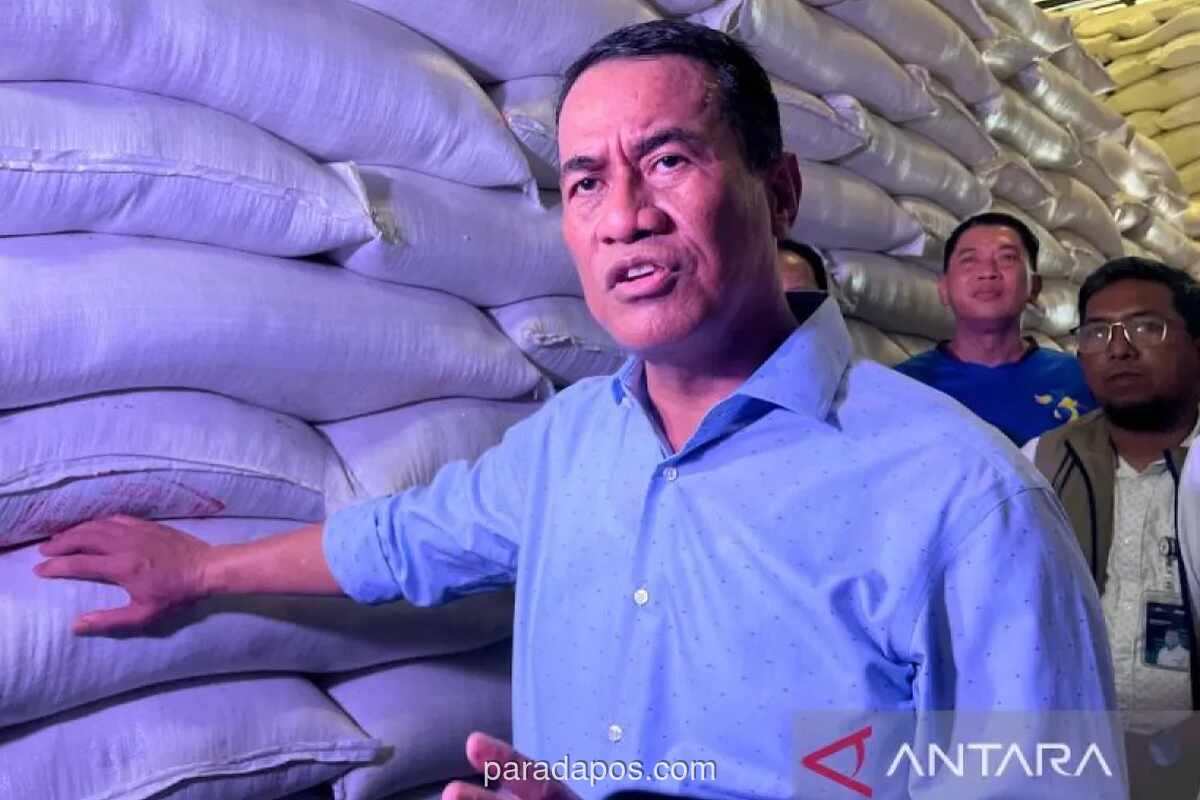 Pemerintah Genjot Intervensi Pangan Jaga Stabilitas Harga Pasca-Lebaran
