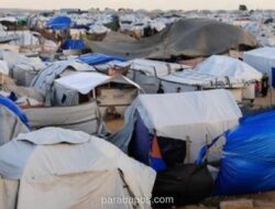 PBB Peringatkan Krisis Penyakit Kulit di Gaza Meningkat Tiga Kali Lipat Akibat Sanitasi Buruk dan Cuaca Panas