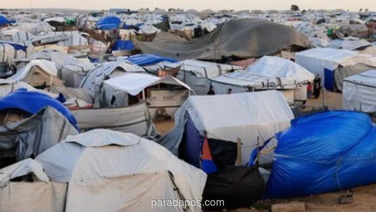 PBB Peringatkan Krisis Penyakit Kulit di Gaza Meningkat Tiga Kali Lipat Akibat Sanitasi Buruk dan Cuaca Panas