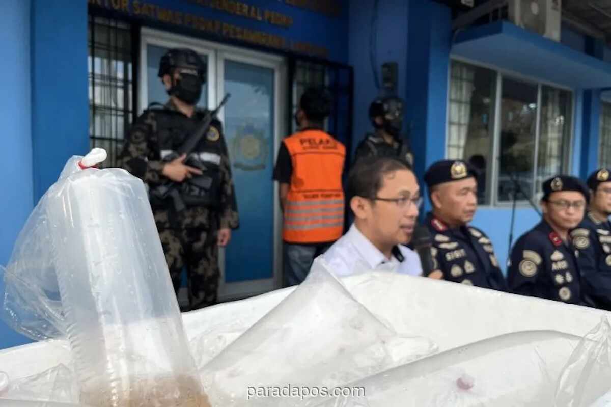 KKP Gagalkan Penyelundupan 31.255 Benih Lobster di Pesisir Barat Lampung
