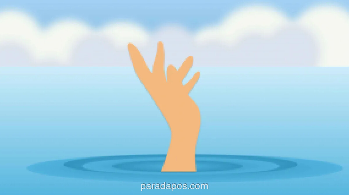 Dua Relawan Tewas saat Perahu Penyelamat Terbalik di Perairan Ballina, Australia