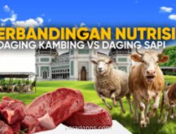 Daging Kambing Ternyata Lebih Rendah Lemak dan Kolesterol Dibanding Daging Sapi, Ini Fakta Nutrisinya