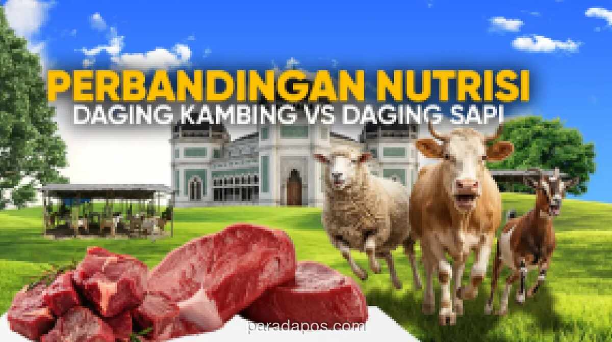 Daging Kambing Ternyata Lebih Rendah Lemak dan Kolesterol Dibanding Daging Sapi, Ini Fakta Nutrisinya