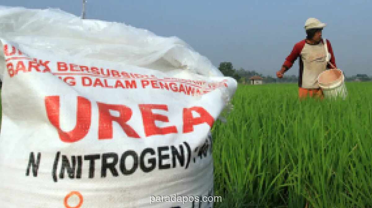 Pupuk Indonesia Salurkan Stok Subsidi pada Mei 2026, Berikut Syarat dan Cara Tebusnya