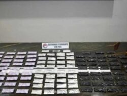 Polisi Gagalkan Peredaran 120 Cartridge Vape Berisi Narkotika Etomidate di Cengkareng