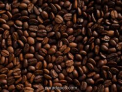 Petani Kopi Desa Tembus Pasar Ekspor Malaysia Berkat Hilirisasi dan Pendampingan Intensif