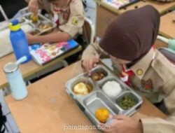 Program Makan Bergizi Gratis Mulai Putar Roda Ekonomi UMKM dan Petani Lokal