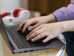 PAMA Buka Lowongan Kerja untuk Lulusan SMA hingga S1 di Sulawesi, Pendaftaran hingga Juni 2026