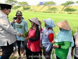 Relawan Jarnas: Prabowo Minta Warga Desa Tak Panik soal Rupiah, Bukan Remehkan Dampak Ekonomi