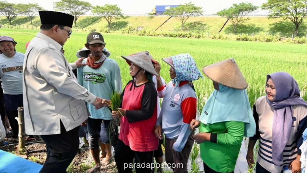 Relawan Jarnas: Prabowo Minta Warga Desa Tak Panik soal Rupiah, Bukan Remehkan Dampak Ekonomi
