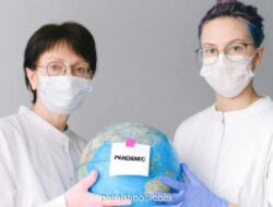 Ahli Mikrobiologi Nilai Risiko Pandemi Hantavirus Masih Rendah, Penularan Utama dari Tikus