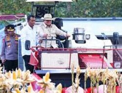 Pernyataan Prabowo Soal Rupiah Tak Pengaruhi Desa Disindir Artis dan Selebgram