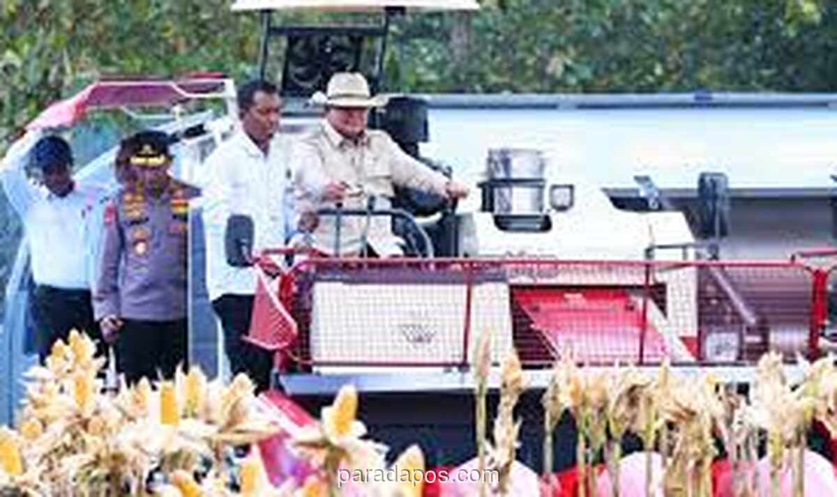 Pernyataan Prabowo Soal Rupiah Tak Pengaruhi Desa Disindir Artis dan Selebgram