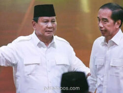 Jokowi Dinilai Lakukan Safari Politik untuk Sukseskan Program Prabowo dan Jaga Posisi Gibran