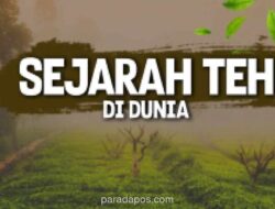 Perayaan Hari Teh Sedunia: Dari Tradisi China hingga Bisnis Es Teh Kekinian di Indonesia