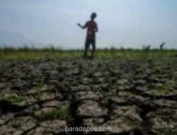 BPBD Karawang Identifikasi 16 Desa di Enam Kecamatan Rawan Kekeringan, Puncak Kemarau Diprediksi Agustus-November 2026