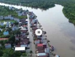 Banjir Luapan Sungai Mentaya Rendam Desa Hanjalipan, Warga Bertahan Tanpa Evakuasi