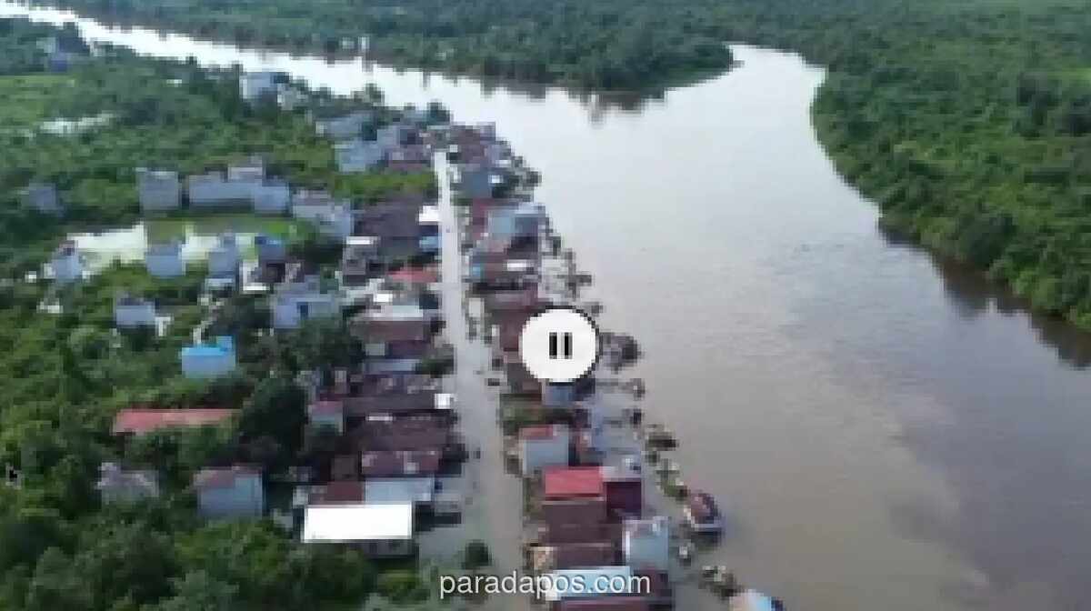 Banjir Luapan Sungai Mentaya Rendam Desa Hanjalipan, Warga Bertahan Tanpa Evakuasi