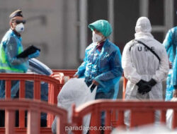 Dinkes Jakarta Konfirmasi Empat Kasus Hantavirus, Satu Pasien Masih dalam Isolasi