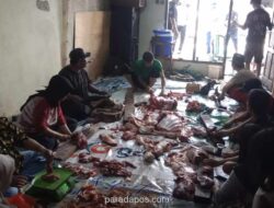 Gereja Santa Theresia Serahkan Sapi Kurban ke Rumah Singgah, Wujud Toleransi di Jakarta