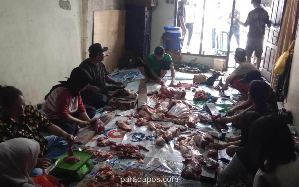 Gereja Santa Theresia Serahkan Sapi Kurban ke Rumah Singgah, Wujud Toleransi di Jakarta