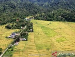 Warga surati Presiden untuk tolak tambang emas di Beutong Ateuh Aceh
