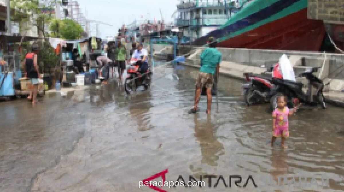 BPBD DKI Tetapkan Siaga 1 Banjir di Pintu Air Angke Hulu, TMA Capai 350 Cm