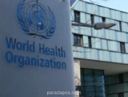 WHO: Risiko Hantavirus di Kapal Pesiar Atlantik Rendah, Masyarakat Diminta Tetap Tenang