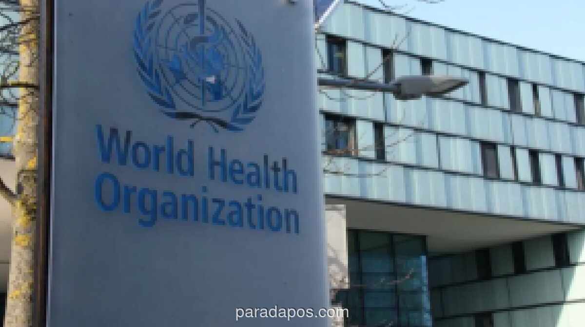 WHO: Risiko Hantavirus di Kapal Pesiar Atlantik Rendah, Masyarakat Diminta Tetap Tenang