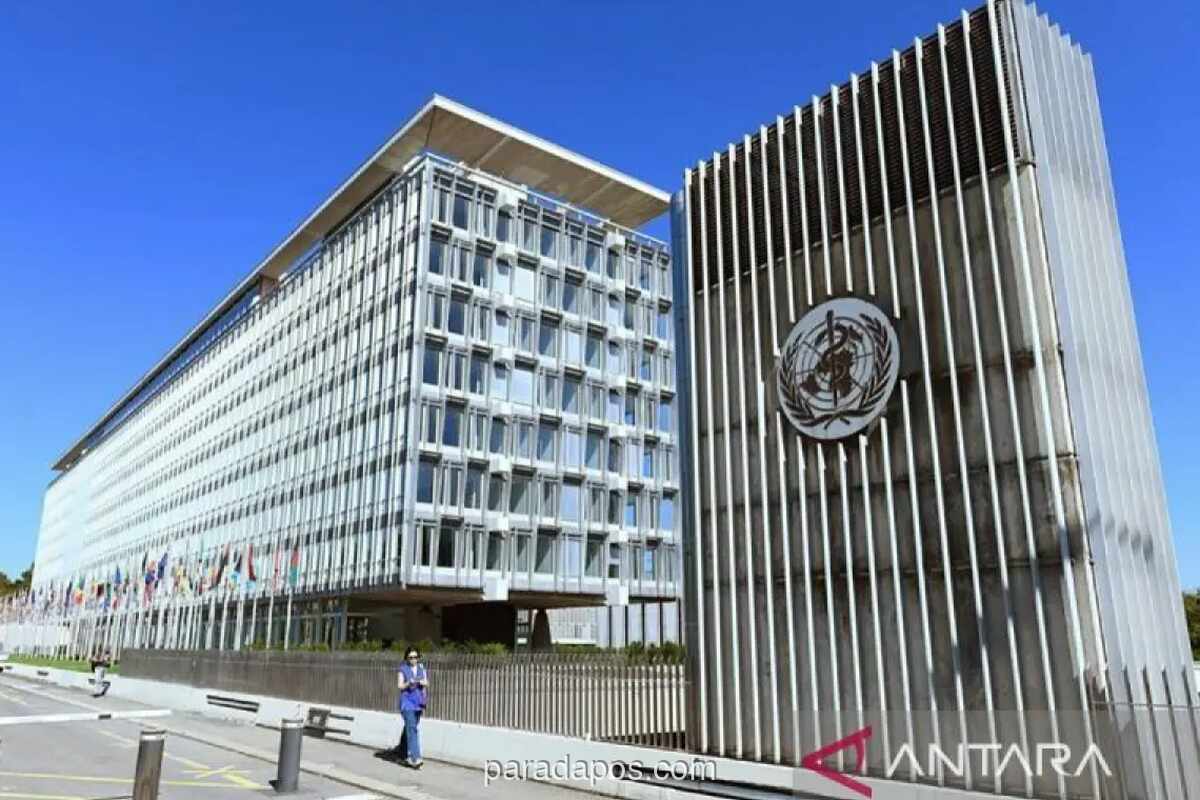 WHO Nyatakan Risiko Hantavirus Rendah, Tak Perlu Pembatasan Perjalanan
