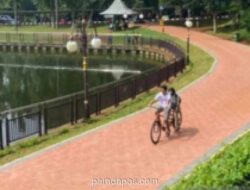 Separuh Pengunjung Malam Hari di Ragunan Justru untuk Jogging, Bukan Lihat Satwa