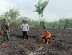 1.500 Titik Panas Terdeteksi di Sumsel Sepanjang 2026, Muara Enim Catat Hotspot Tertinggi