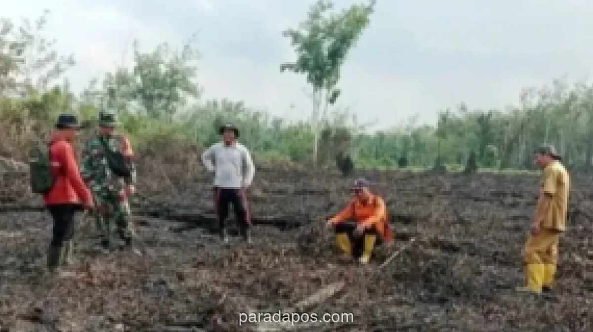1.500 Titik Panas Terdeteksi di Sumsel Sepanjang 2026, Muara Enim Catat Hotspot Tertinggi