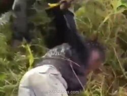 Satgas Damai Cartenz Tangkap Anggota KKB HSSBI di Yahukimo