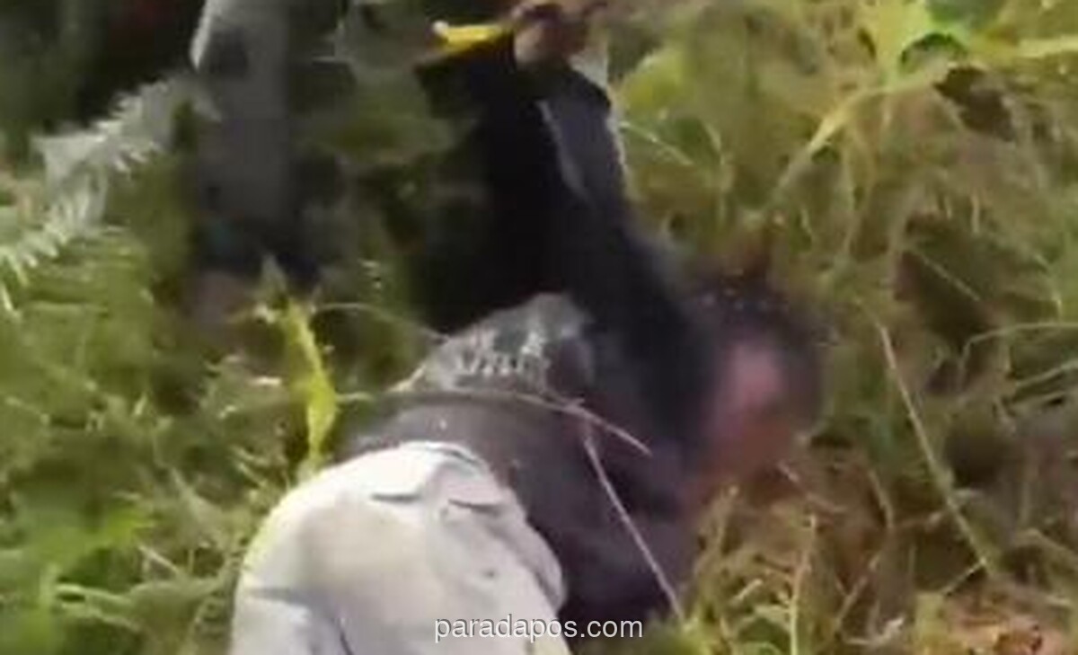 Satgas Damai Cartenz Tangkap Anggota KKB HSSBI di Yahukimo